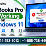 QuickBooks Pro Not Working on Windows 11