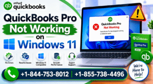 QuickBooks Pro Not Working on Windows 11